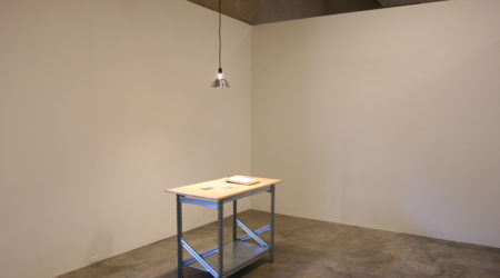 <em>Agency and Miriam Böhm</em>, installation view, Contemporary Art Museum St. Louis, November 2–28, 2010. 