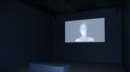 <em>Aneta Grzeszykowska</em>, installation view, Contemporary Art Museum St. Louis, November 29–December 30, 2011.