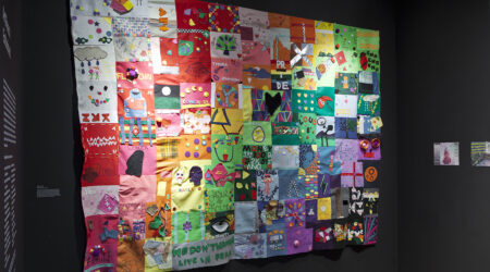 <em>ArtReach: Entwined</em>, installation view, Contemporary Art Museum St. Louis, January 15–April 3, 2016.