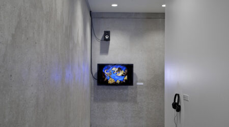 <em>Sarah Paulsen and Cameron Fuller: Echo</em>, 2014, installation view, Contemporary Art Museum St. Louis, May 9–August 9, 2014. Photo: David Johnson.