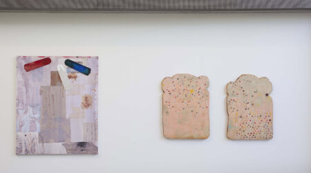 <em>Brenna Youngblood: Loss Prevention</em>, installation view, Contemporary Art Museum St. Louis, May 9–June 21, 2014. Photo: David Johnson.