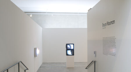 <em>Bruce Nauman: Dead Shot Dan</em>, installation view, Contemporary Art Museum St. Louis, January 23–April 19, 2009. Photo: David Ulmer.