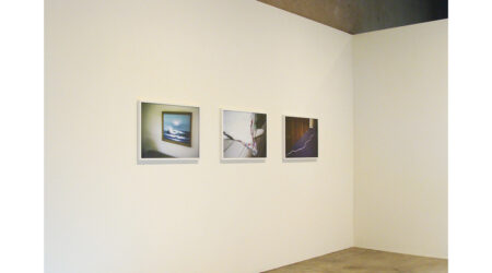 <em>Cellar Door: Alex DaCorte, Trevor Reese, and Justin Visnesky</em>, installation view, Contemporary Art Museum St. Louis, July 14–August 1, 2010.