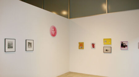<em>Claudia Wieser, Andrew Falkowski and Elad Lassry</em>, installation view, Contemporary Art Museum St. Louis, October 7–19, 2008.