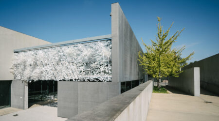 <em>Hedge</em>, installation view, Contemporary Art Museum St. Louis, September 8–December 31, 2017. Photo: Dusty Kessler.