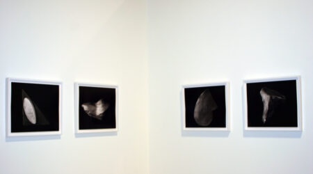 <em>David Musgrave and Erin Shirreff</em>, installation view, Contemporary Art Museum St. Louis, February 17–28, 2010.