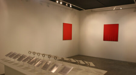 <em>Douglas Ross and Philip Vanderhyden</em>, installation view, Contemporary Art Museum St. Louis, July 29–August 16, 2009.