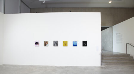 <em>Elad Lassry: Sum of Limited Views</em>, installation view, Contemporary Art Museum St. Louis, September 10, 2010–January 2, 2011.