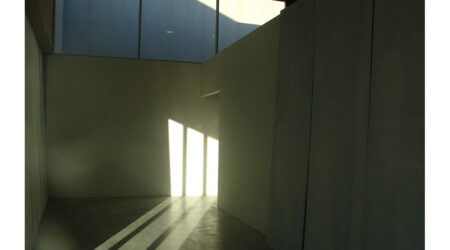 <em>Gedi Sibony: My Arms Are Tied Behind My Other Arms</em>, installation view, Contemporary Art Museum St. Louis, January 23–April 19, 2009. Photo: Gedi Sibony.