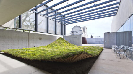 <em>Green Varnish</em>, installation view, Contemporary Art Museum St. Louis, May 23–September 13, 2015. Photo: David Johnson.