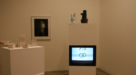 <em>Greg Parma Smith and Zin Taylor</em>, installation view, Contemporary Art Museum St. Louis, February 3–14, 2010. Photo: Lynna Borden.
