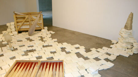 <em>Hany Armanious</em>, installation view, Contemporary Art Museum St. Louis, November 4–23, 2008. Photo: Laura Stuart.