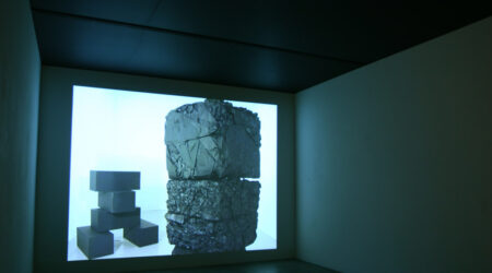 <em>Laura Riboli</em>, installation view, Contemporary Art Museum St. Louis, November 30, 2010–January 16, 2011.