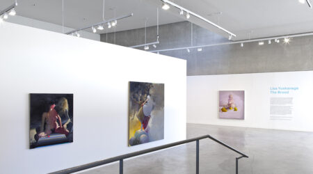 <em>Lisa Yuskavage: The Brood</em>, installation view, Contemporary Art Museum St. Louis, January 15–April 3, 2016. Photo: David Johnson.