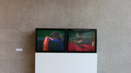 <em>Margaret Salmon, </em>, installation view, Contemporary Art Museum St. Louis, March 8–March 27, 2011. Photo: Alex Elmestad.