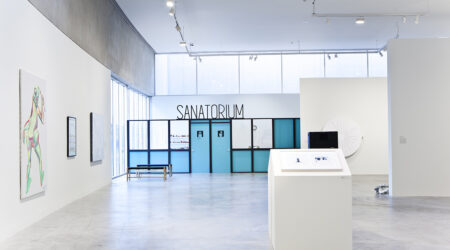 <em>Occupational Therapy</em>, installation view, Contemporary Art Museum St. Louis, May 1–August 16, 2015. Photo: David Johnson.
