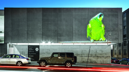 <em>Marco Rios: At Loulou’s Door</em>, installation view, Contemporary Art Museum St. Louis, December 5, 2014–﻿February 4, 2015. Photo: David Johnson.﻿﻿﻿﻿﻿