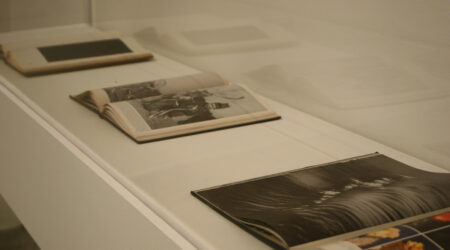 <em>Roman Schramm and Haris Epaminonda</em>, installation view, Contemporary Art Museum St. Louis, March 3–14, 2010.