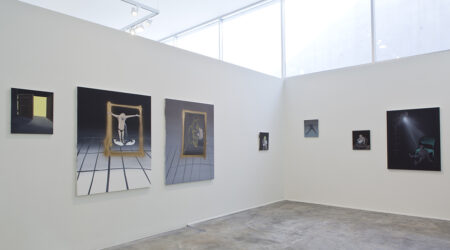 <em>Tala Madani: First Light</em>, installation view, Contemporary Art Museum St. Louis, January 15–April 3, 2016. Photo: David Johnson.