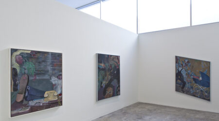 <em>Tomasz Kowalski</em>, installation view, Contemporary Art Museum St. Louis, January 24-April 13, 2014. Photo: David Johnson.