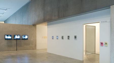 <em>Torbjørn Rødland</em>, installation view, Contemporary Art Museum St. Louis, January 22–February 28, 2010. Photo: Lynna Borden.