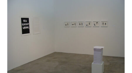 <em>Vlatka Horvat and Eva Weinmayr</em>, installation view, Contemporary Art Museum St. Louis, July 8–18, 2008. Photo: William Gass.