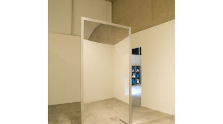 <em>Xavier Cha</em>, installation view, Contemporary Art Museum St. Louis, January 22–January 31, 2010. Photo: Peter Wochniak.