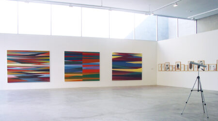 <em>A Fiction of Authenticity: Contemporary Africa Abroad</em>, installation view, Contemporary Art Museum St. Louis, September 20, 2003–January 3, 2004.