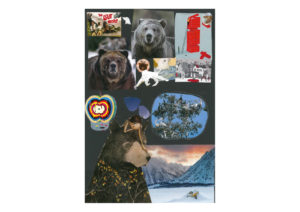 Collage incorporating commercial and natural imagery, often of bears
