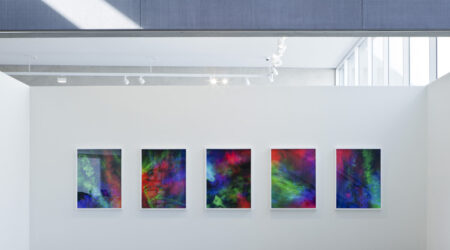 <em>Louis Cameron</em>, installation view, Contemporary Art Museum St. Louis, January 27–April 16, 2017. Photo: David Johnson.