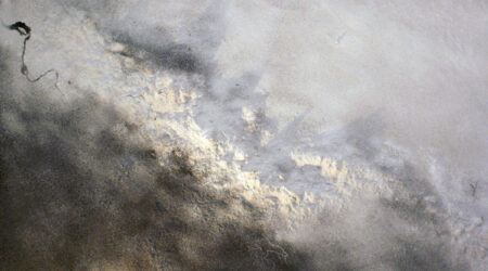 Meredith Foster, <em>Biography</em>, 2017. Sifted ash and charcoal of indigenous and introduced plant material, dimensions variable. Courtesy the artist.