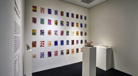 <em>New Art in the Neighborhood</em>, installation view, Contemporary Art Museum St. Louis, May 5–August 13, 2017. Photo: Dusty Kessler.