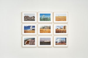 Photos from Agnes Denes' Wheatfield arranged in grid