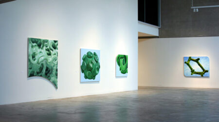<em>Alexander Ross</em>, installation view, Contemporary Art Museum St. Louis, March 18–July 17, 2005.