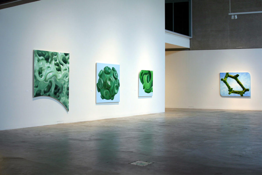 Alexander Ross_1 Contemporary Art Museum St. Louis