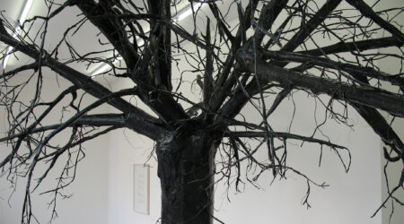 Katie Holten, <em>One Fine Day</em>, 2005–2007. Installation view of solo exhibition in Wilhelm Schümann’s collection, Berlin.