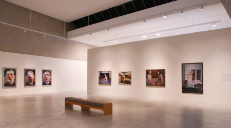 <em>Shoot the Family</em>, installation view, Contemporary Art Museum St. Louis, May 18–August 5, 2007.
