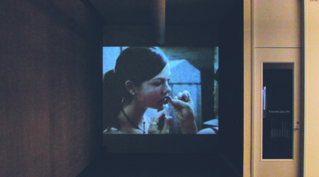 Slater Bradley, <em>My Conclusion/My Necessity</em>, 2005-2006, installation view, Contemporary Art Museum St. Louis, January 26–May 22, 2007.