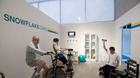 <em>Snowflake/Citystock</em>, installation view, Contemporary Art Museum St. Louis, February 19–22, 2008.