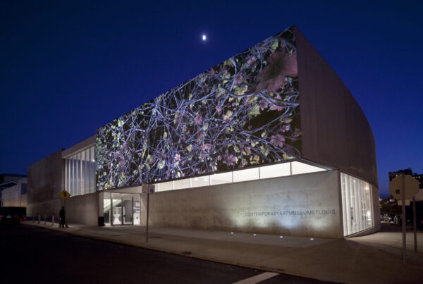 <em>Jennifer Steinkamp: Orbit</em>, installation view, Contemporary Art Museum St. Louis, October 11–December 29, 2013.