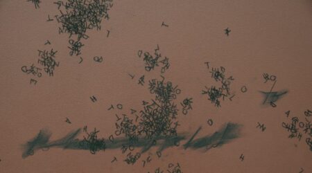 <em>Bethany Collins: Chorus</em>, installation view, Contemporary Art Museum St. Louis, September 6–December 29, 2019. Photo: Dusty Kessler.