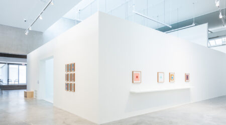 <em>Hajra Waheed: A Solo Exhibition</em>, installation view, Contemporary Art Museum St. Louis, September 8, 2023–February 11, 2024. Photo: Dusty Kessler.