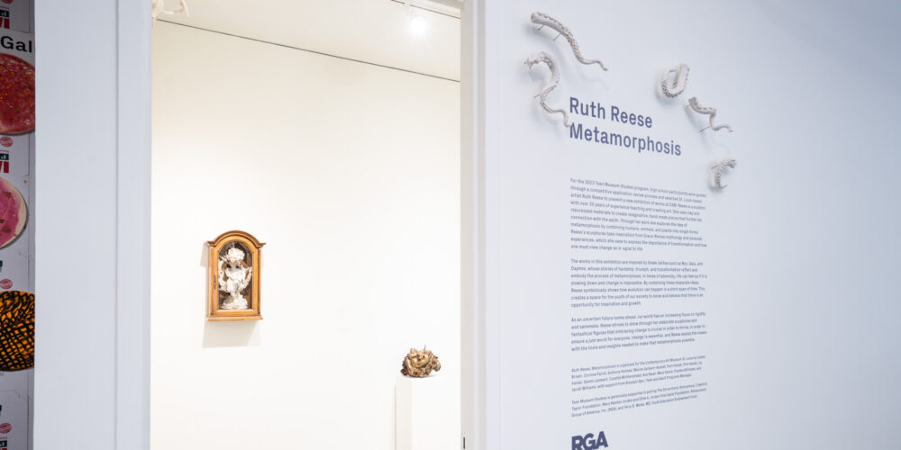 <em>Ruth Reese: Metamorphosis</em>, installation view, Contemporary Art Museum St. Louis, September 8, 2023 - February 11, 2024. Photo: Dusty Kessler