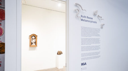 <em>Ruth Reese: Metamorphosis</em>, installation view, Contemporary Art Museum St. Louis, September 8, 2023 - February 11, 2024. Photo: Dusty Kessler