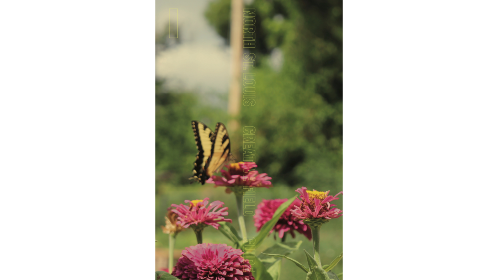 <i>North St. Louis Creative Field Guide</i>. Designed by WORK/PLAY.